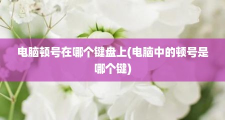电脑顿号在哪个键盘上(电脑中的顿号是哪个键)