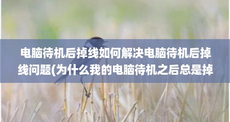 电脑待机后掉线如何解决电脑待机后掉线问题(为什么我的电脑待机之后总是掉网)