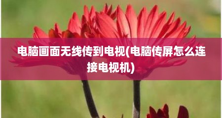 电脑画面无线传到电视(电脑传屏怎么连接电视机)