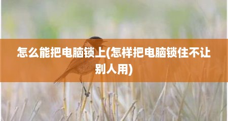 怎么能把电脑锁上(怎样把电脑锁住不让别人用)