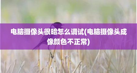 电脑摄像头很暗怎么调试(电脑摄像头成像颜色不正常)