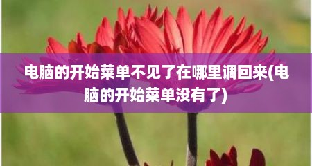 电脑的开始菜单不见了在哪里调回来(电脑的开始菜单没有了)