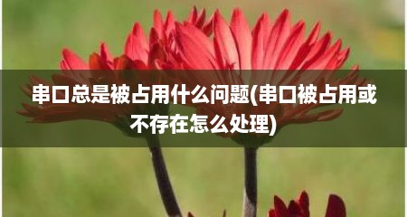 串口总是被占用什么问题(串口被占用或不存在怎么处理)