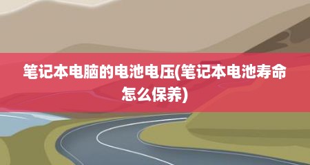 笔记本电脑的电池电压(笔记本电池寿命怎么保养)