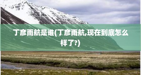 丁彦雨航是谁(丁彦雨航,现在到底怎么样了?)