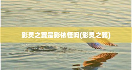 影灵之翼是影依怪吗(影灵之翼)