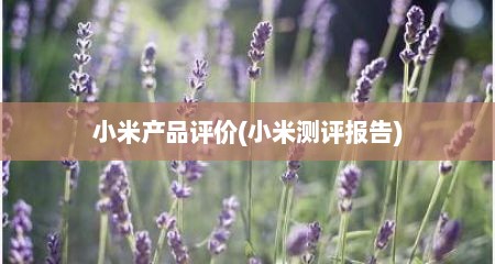 小米产品评价(小米测评报告)
