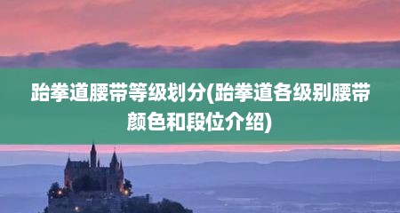跆拳道腰带等级划分(跆拳道各级别腰带颜色和段位介绍)