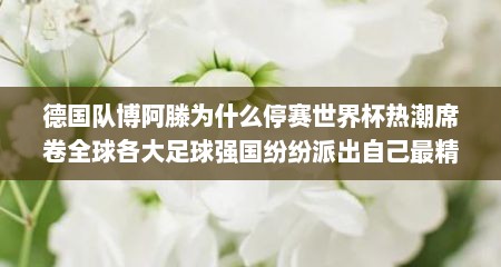 德国队博阿滕为什么停赛世界杯热潮席卷全球各大足球强国纷纷派出自己最精锐的球员参加比赛。然而，德国