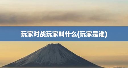 玩家对战玩家叫什么(玩家是谁)