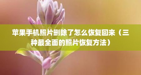苹果手机照片删除了怎么恢复回来（三种最全面的照片恢复方法）