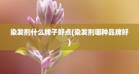染发剂什么牌子好点(染发剂哪种品牌好)