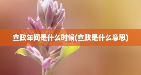 宣政年间是什么时候(宣政是什么意思)