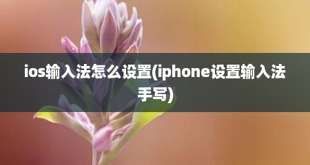 ios输入法怎么设置(iphone设置输入法手写)