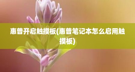 惠普开启触摸板(惠普笔记本怎么启用触摸板)