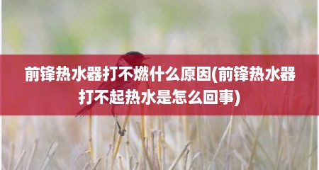 前锋热水器打不燃什么原因(前锋热水器打不起热水是怎么回事)