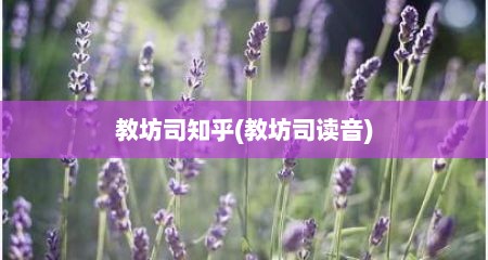 教坊司知乎(教坊司读音)