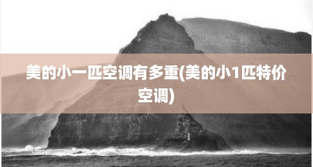 美的小一匹空调有多重(美的小1匹特价空调)