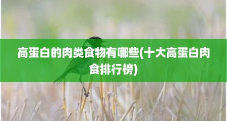 高蛋白的肉类食物有哪些(十大高蛋白肉食排行榜)