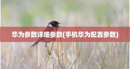 华为参数详细参数(手机华为配置参数)