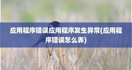 应用程序错误应用程序发生异常(应用程序错误怎么弄)