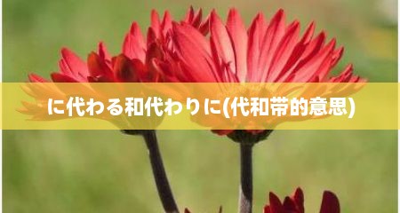 に代わる和代わりに(代和带的意思)