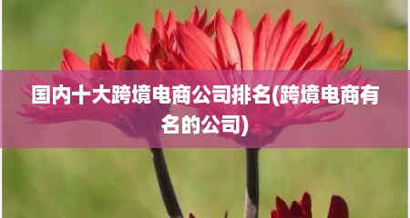 国内十大跨境电商公司排名(跨境电商有名的公司)