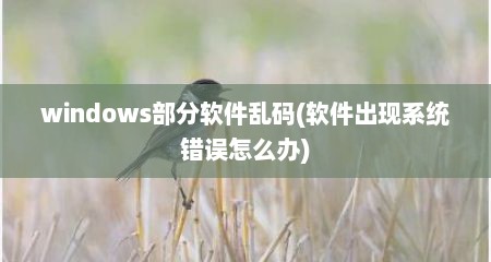 windows部分软件乱码(软件出现系统错误怎么办)