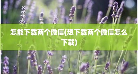 怎能下载两个微信(想下载两个微信怎么下载)