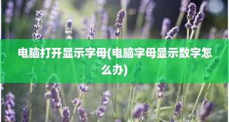 电脑打开显示字母(电脑字母显示数字怎么办)