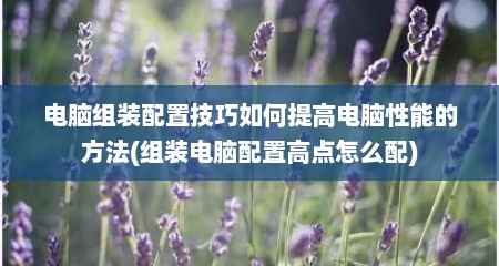 电脑组装配置技巧如何提高电脑性能的方法(组装电脑配置高点怎么配)