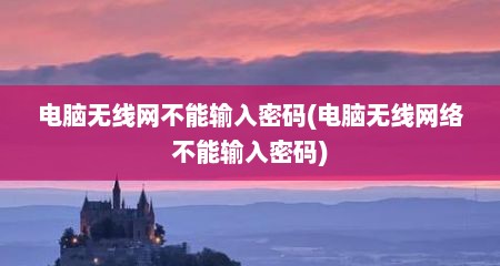 电脑无线网不能输入密码(电脑无线网络不能输入密码)