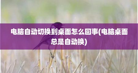 电脑自动切换到桌面怎么回事(电脑桌面总是自动换)