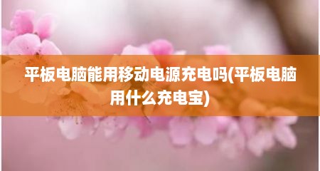 平板电脑能用移动电源充电吗(平板电脑用什么充电宝)