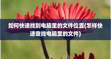 如何快速找到电脑里的文件位置(怎样快速查找电脑里的文件)