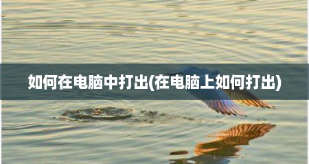 如何在电脑中打出(在电脑上如何打出)