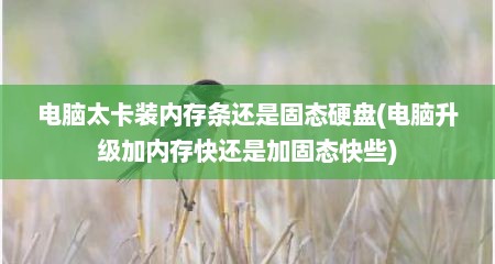 电脑太卡装内存条还是固态硬盘(电脑升级加内存快还是加固态快些)