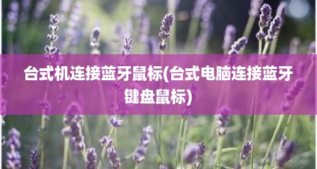 台式机连接蓝牙鼠标(台式电脑连接蓝牙键盘鼠标)