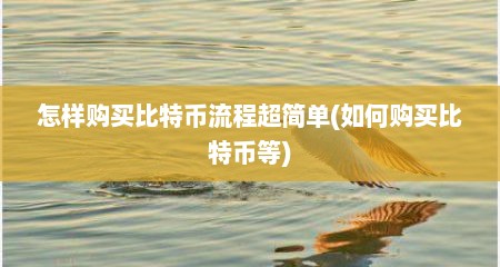 怎样购买比特币流程超简单(如何购买比特币等)