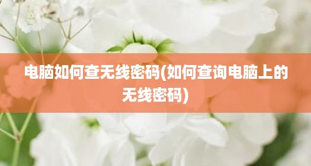 电脑如何查无线密码(如何查询电脑上的无线密码)