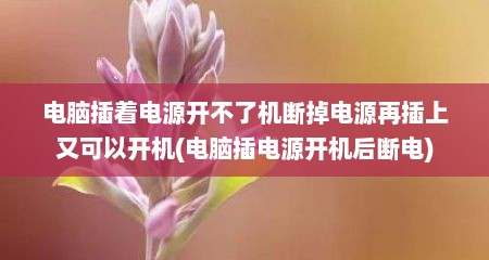 电脑插着电源开不了机断掉电源再插上又可以开机(电脑插电源开机后断电)