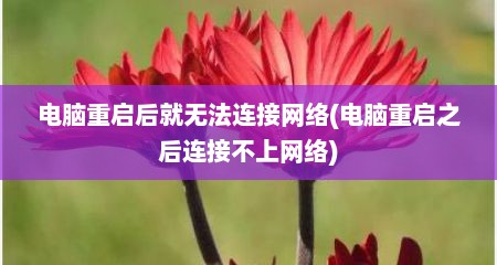 电脑重启后就无法连接网络(电脑重启之后连接不上网络)