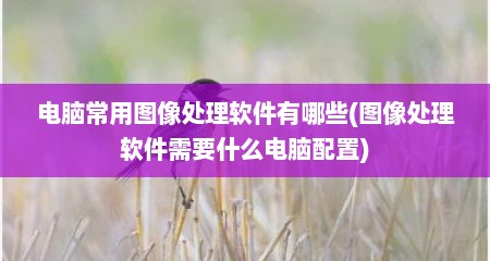 电脑常用图像处理软件有哪些(图像处理软件需要什么电脑配置)