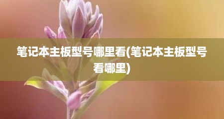 笔记本主板型号哪里看(笔记本主板型号看哪里)