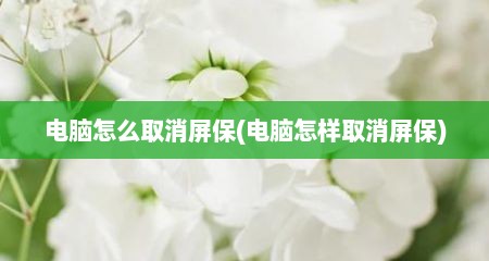 电脑怎么取消屏保(电脑怎样取消屏保)