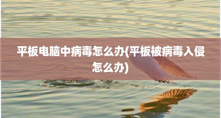 平板电脑中病毒怎么办(平板被病毒入侵怎么办)