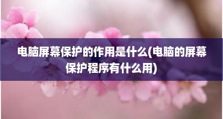 电脑屏幕保护的作用是什么(电脑的屏幕保护程序有什么用)