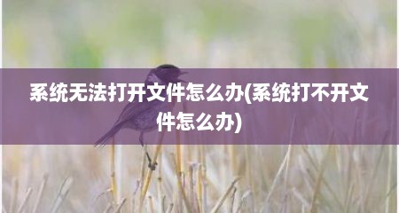 系统无法打开文件怎么办(系统打不开文件怎么办)