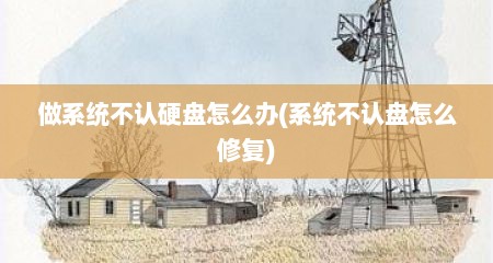 做系统不认硬盘怎么办(系统不认盘怎么修复)