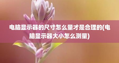 电脑显示器的尺寸怎么量才是合理的(电脑显示器大小怎么测量)